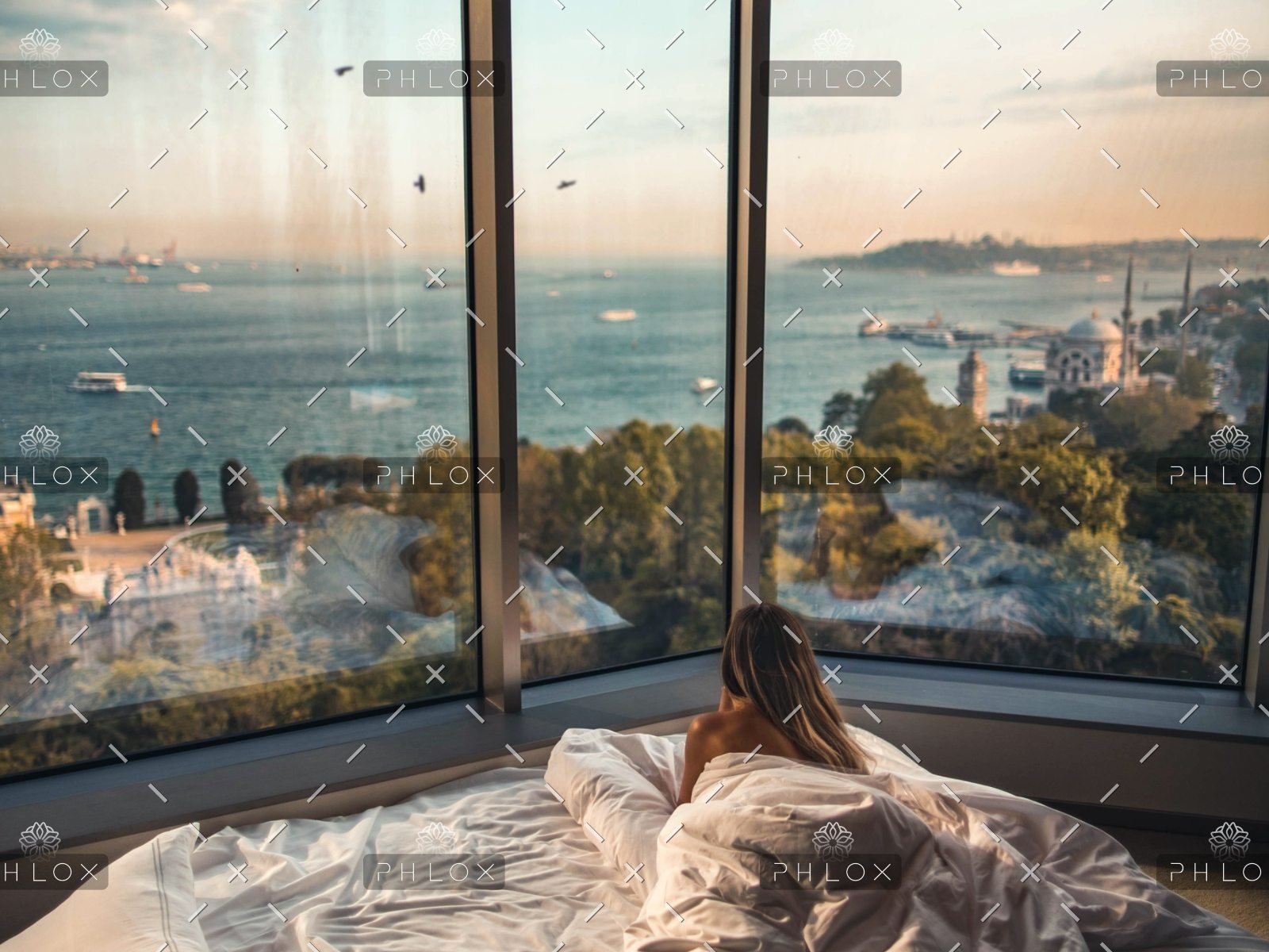 demo-attachment-387-roberto-nickson-RiOhen_OLPs-unsplash